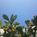 Mykonos Waterfront House Walk To Private 別荘 *