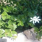 Mykonos Waterfront House Walk To Private 別荘