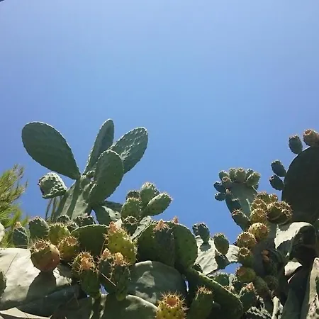 Mykonos Waterfront House Walk To Private Дом отдыха *