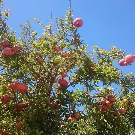 Дом отдыха Mykonos Waterfront House Walk To Private