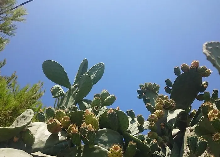 Mykonos Waterfront House Walk To Private Vakantiehuis *