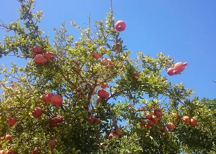 בית נופש Mykonos Waterfront House Walk To Private